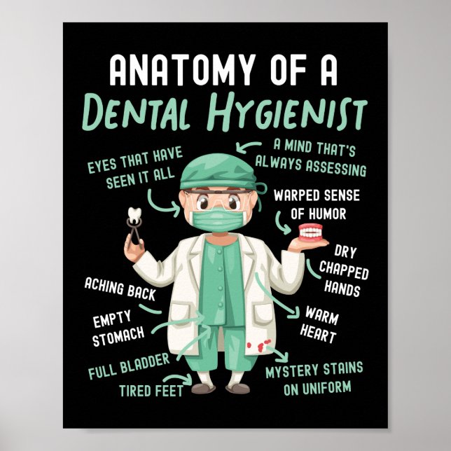 Poster Anatomie Dentaire Hygiéniste Dentaire D'Un Dentair (Devant)