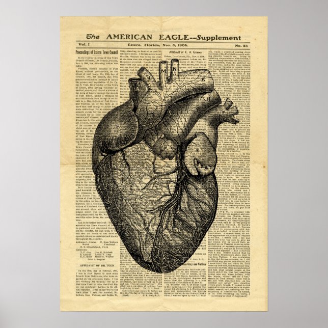 Poster Anatomie des menschlichen Herzens in Zeitun (Vorne)