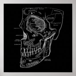 Poster Anatomie des os visage crâne Illustration Vieux Mé