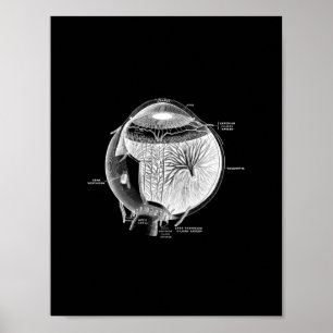 Poster Anatomie des yeux humains en caractères noir et bl