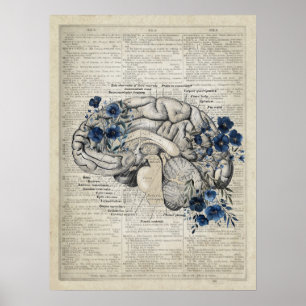 Poster Anatomie du cerveau avec Fleurs Bleues Marine Art 