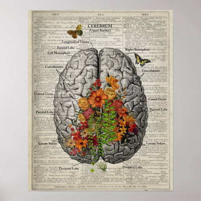 Poster Anatomie du cerveau avec papillons et fleurs (Devant)