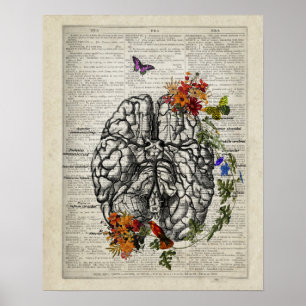 Poster Anatomie du cerveau humain avec des papillons aux 