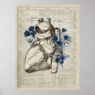 Poster Anatomie du coeur avec fleurs bleues Dictionnaire 