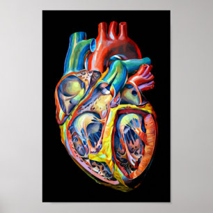 Poster anatomie du coeur humain colorée Art abstrait