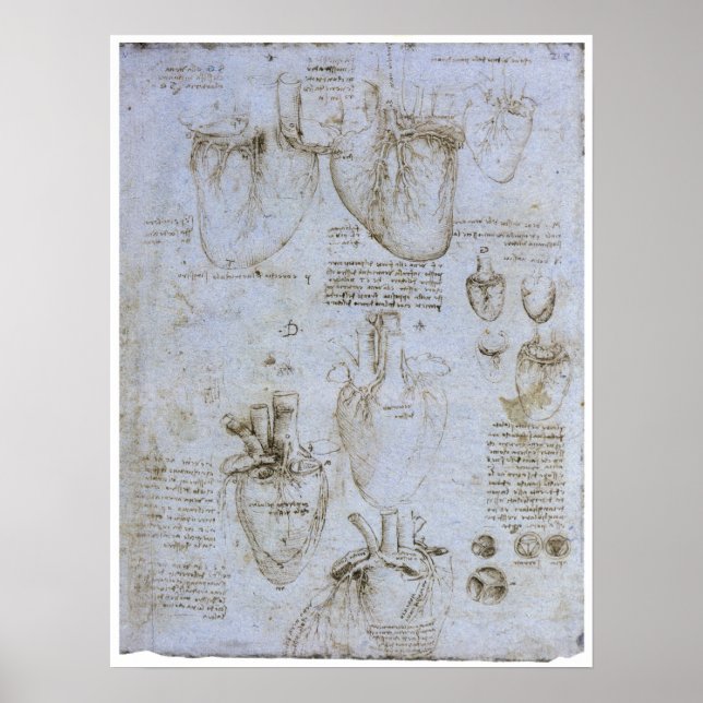 Poster Anatomie du Coeur Humain, Léonard de Vinci (Devant)