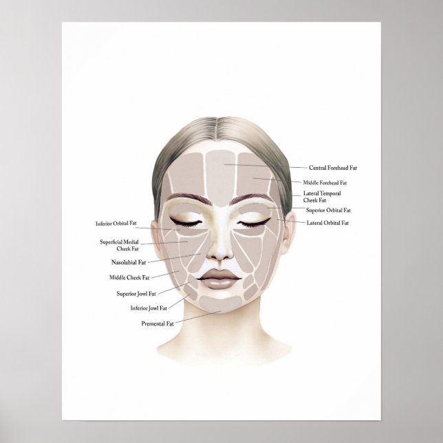 Poster Anatomie du visage Beauté Art (Devant)