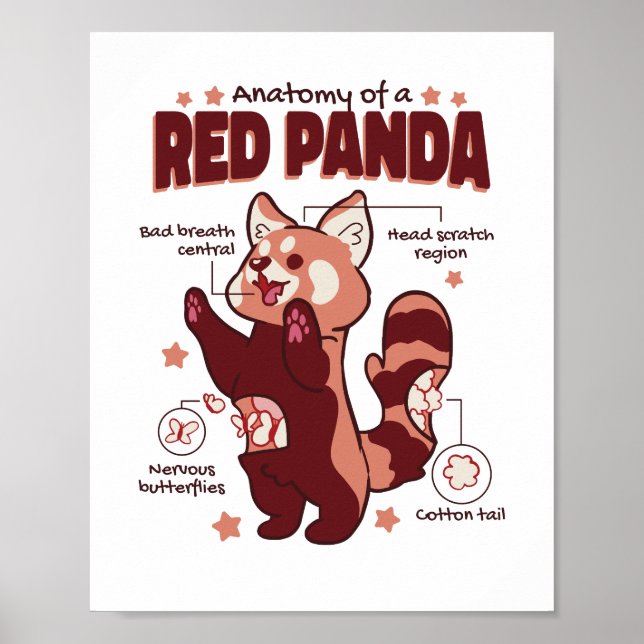 Poster Anatomie d'un Amoureux des animaux de Panda rouge (Devant)