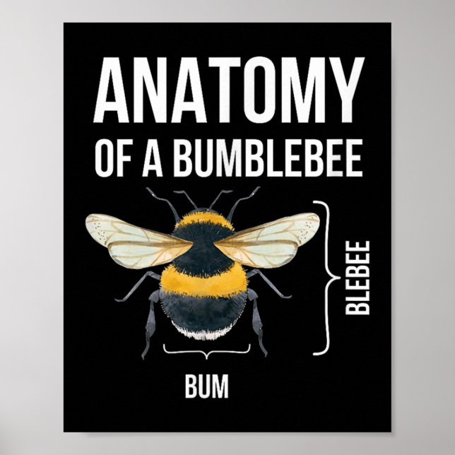Poster Anatomie D'Un Bumblebee Drôle Humour Sarcastique C (Devant)