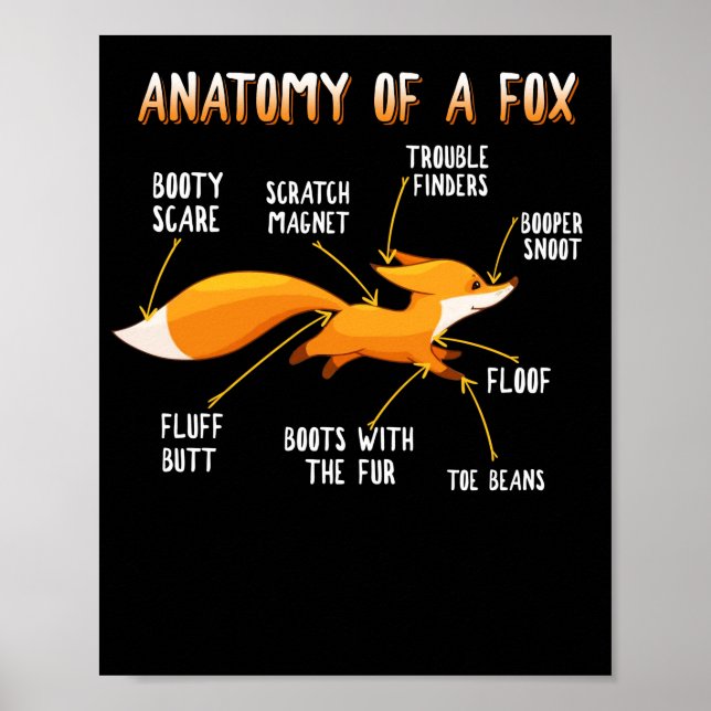 Poster Anatomie D'Un Fox Cute Sweet Carnivore Cadeau Anim (Devant)