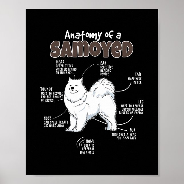 Poster Anatomie d'un Samoyé pour quatre maman Papa aime l (Devant)