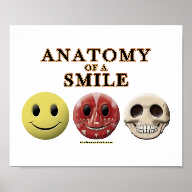 Poster Anatomie d'un sourire (Devant)