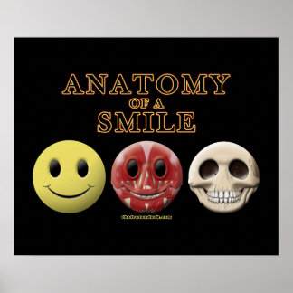 Poster Anatomie d'un sourire