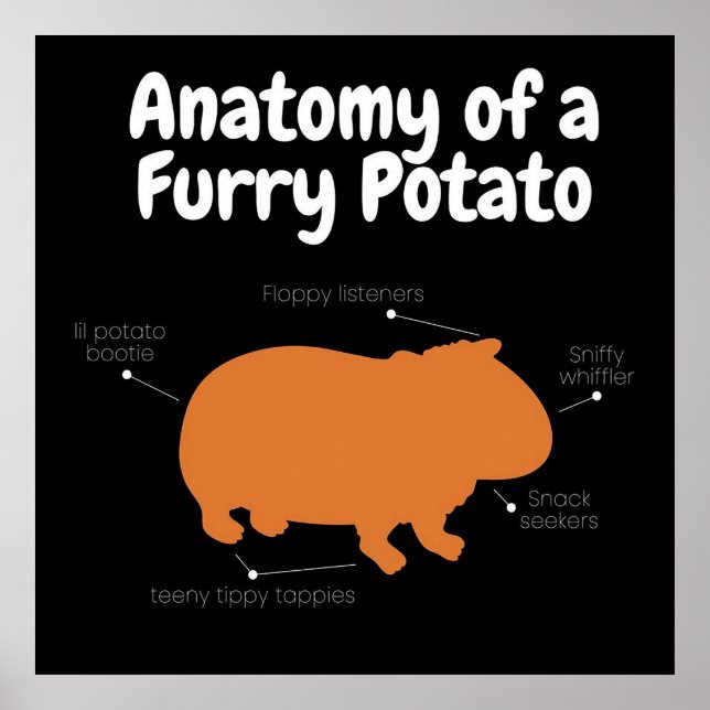 Poster Anatomie D'Une Pomme De Terre Furie | Cochon de Gu (Devant)