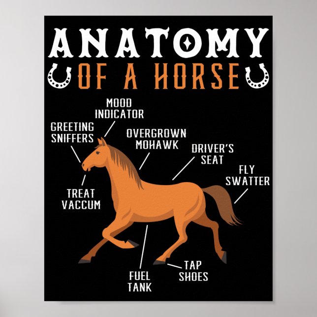 Poster Anatomie Équestre D'Un Amoureux Du Cheval (Devant)