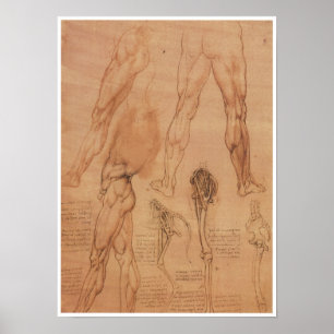 Poster Anatomie extérieure de l'extrémité inférieure, da