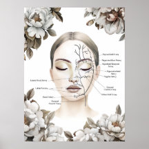Anatomie faciale Décor Botox
