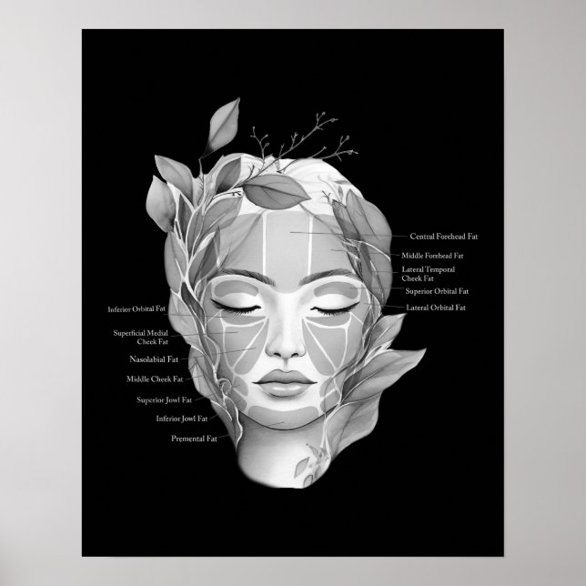 Poster Anatomie faciale Graisse Pad Décor beauté (Devant)