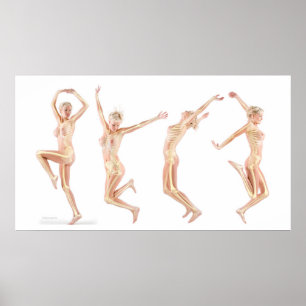 Poster Anatomie femelle