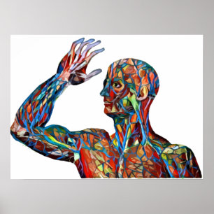 Poster anatomie humaine abstraite homme veines artères ar