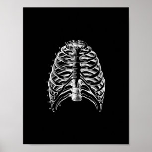 Poster Anatomie humaine de cage thoracique dans la copie