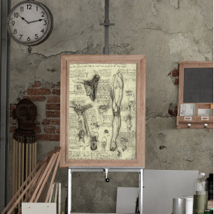 Poster Anatomie humaine vintage Larynx Leg Leonardo da Vi