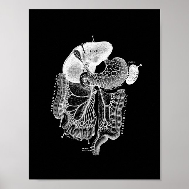 Poster Anatomie interne humaine en noir et blanc (Devant)