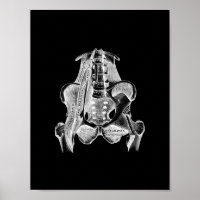 Anatomie musculaire humaine en noir et blanc