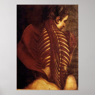 Poster Anatomie/squelettique de l'affiche de dos de