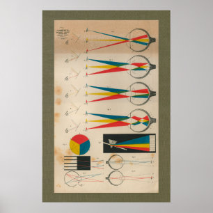 Poster Anatomie visuelle Vintage de 1851