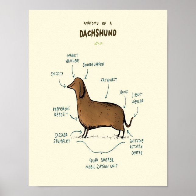 Poster Anatomy | Dog lovers (Devant)