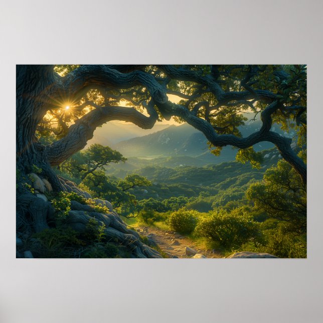 Poster Ancien chêne au lever du soleil (Devant)