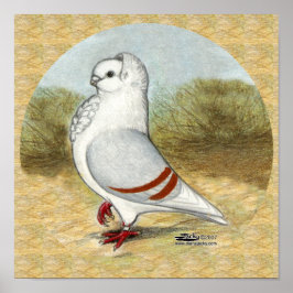Poster Ancien Chien allemand Pigeon dans la ronde