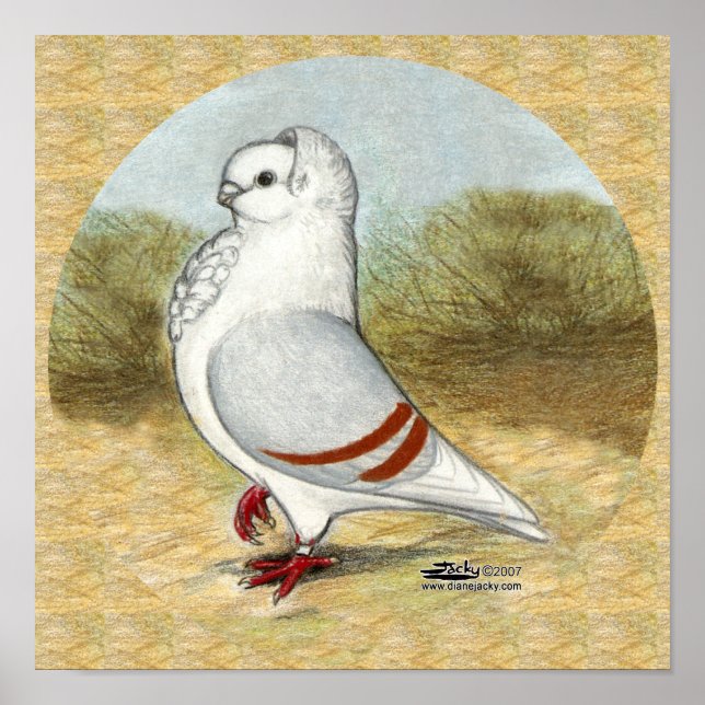 Poster Ancien Chien allemand Pigeon dans la ronde (Devant)