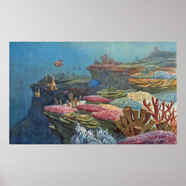 Poster Ancien corail de mer Antique Imprimer (Devant)
