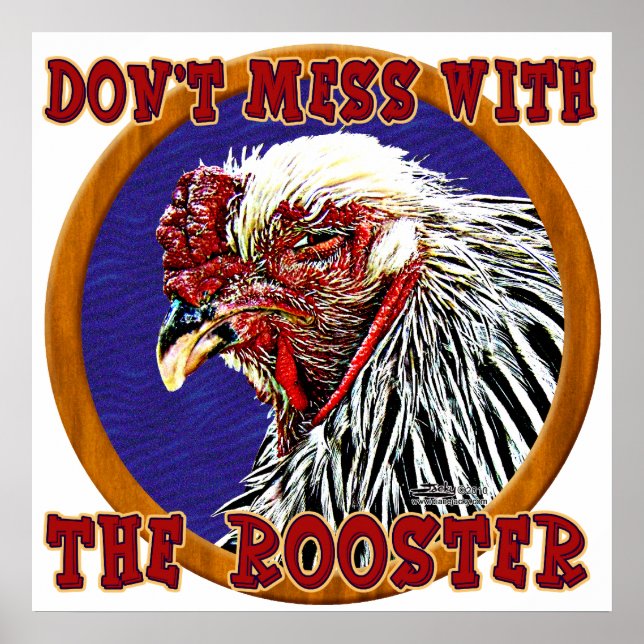 Poster Ancien Rooster (Devant)