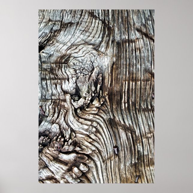 POSTER ANCIENNE ANGLETERRE (Devant)