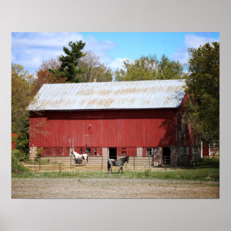 Poster Ancienne grange rouge avec cheval Couleur 16x20