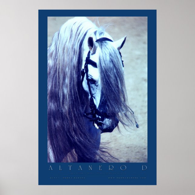 Poster andalou (Devant)