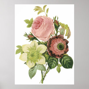 Poster Anémone, Rose, Clematis