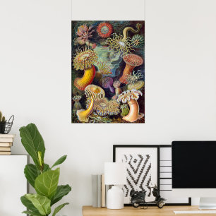 Poster Anémones de mer sous-marines vintage par Ernst Hae