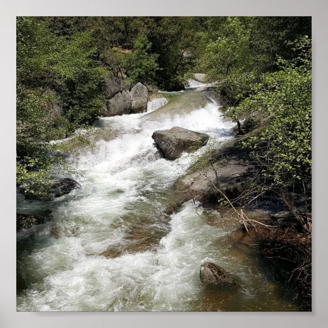 Poster Angel Falls (Devant)