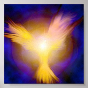 Poster Angel Phoenix