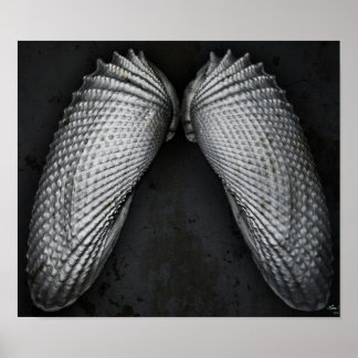 Poster Angel Wings BW