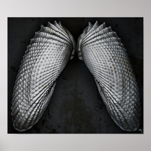 Poster Angel Wings BW (Devant)