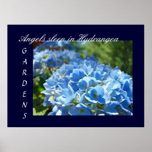 Poster Anges dorment dans les jardins d'hortensias impres