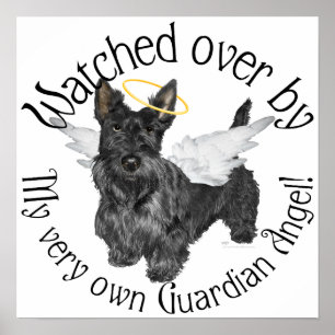 Poster Anges Scottish Terrier