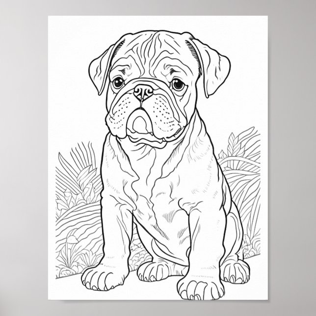 Poster Anglais Bulldog Adult Coloration (Devant)