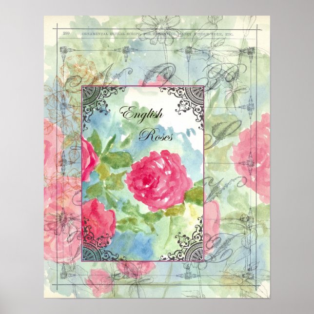 Poster Anglais Chou Rose Collage Aquarelle Fleurs (Devant)