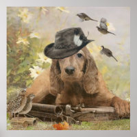 Anglais Cocker Spaniel